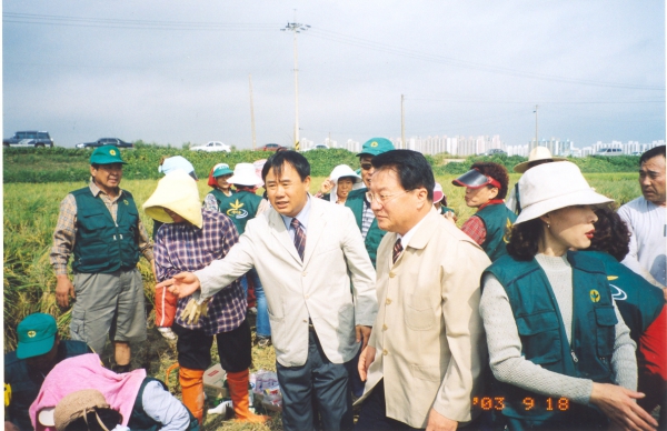 벼세우기 직원 격려(2003. 9.15)